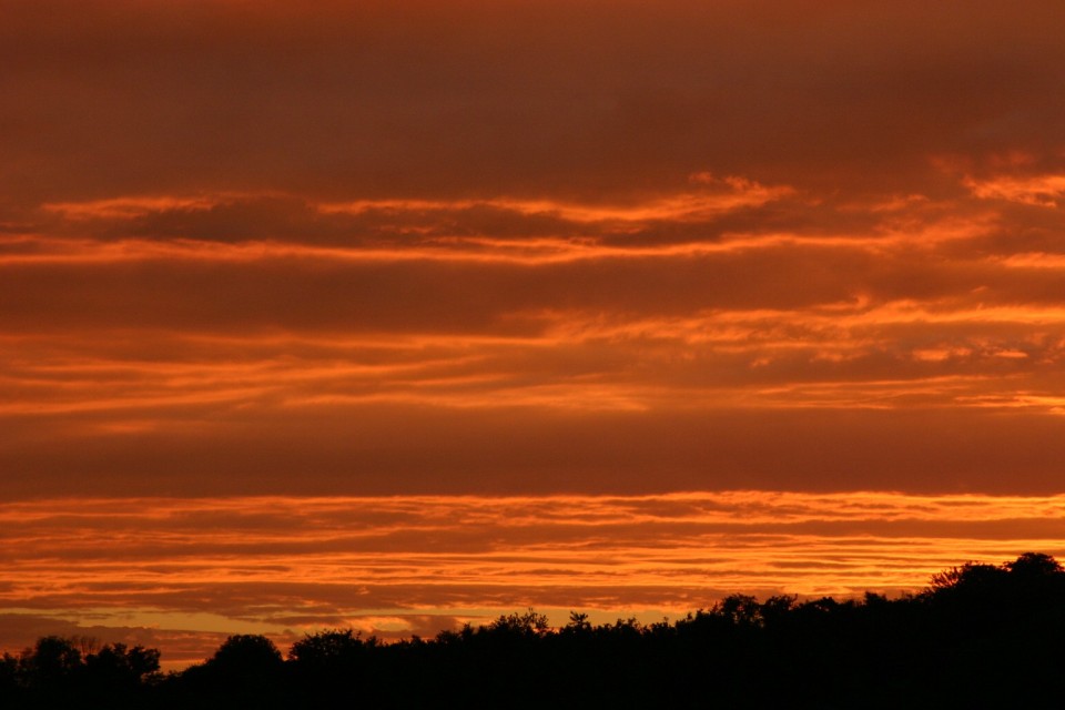 оранжево небе | orange sky