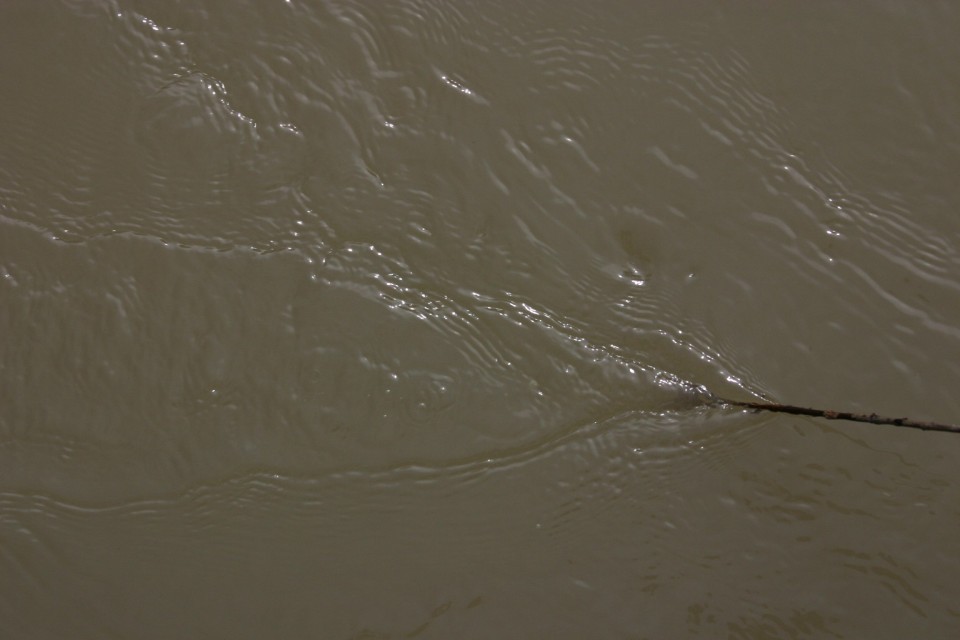 пръчка в реката | stick in the river